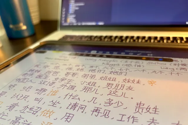 Learning Chinese in My Last Teen Year