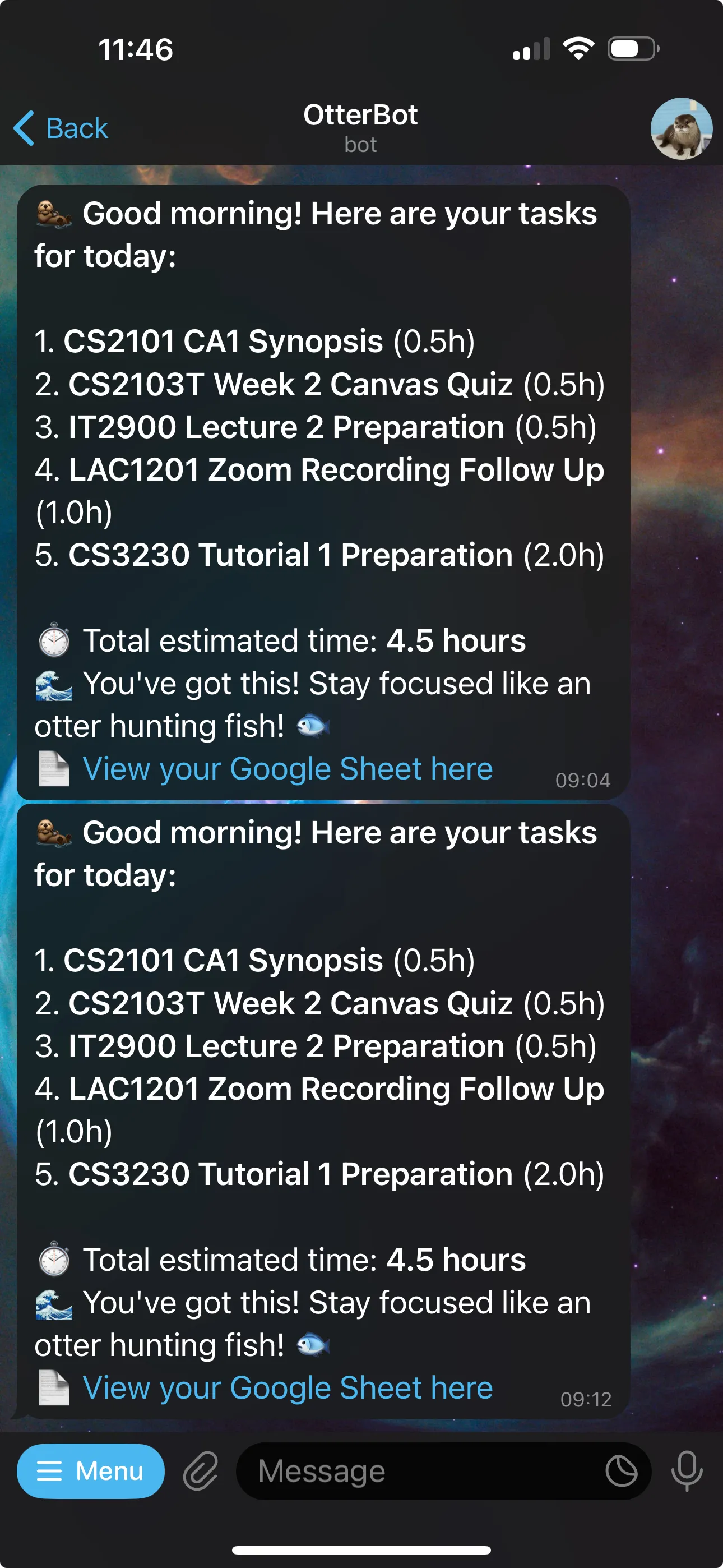 OtterBot Example Message